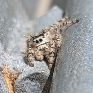 Meet your Posher, Alexsandra